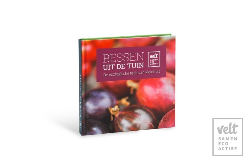 Bessen uit de tuin