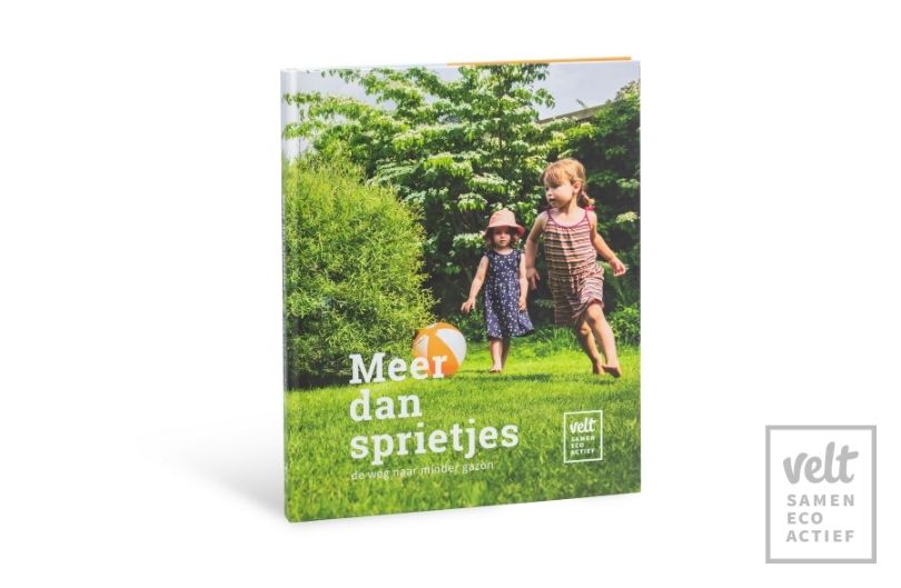 Meer dan sprietjes