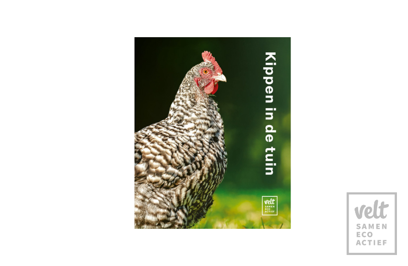 Kippen in de tuin