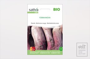 Biet - Formanova