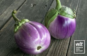 Aubergine Lea